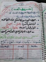 تمارين لغة عربية رائعة للصف الأول الابتدائي