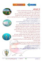 الملخص الكامل لقصة مغامرات في أعماق البحار لغة عربية للصف الخامس الابتدائي ترم أول 2022