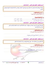 الملخص الكامل لقصة مغامرات في أعماق البحار لغة عربية للصف الخامس الابتدائي ترم أول 2022