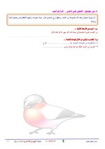 الملخص الكامل لقصة مغامرات في أعماق البحار لغة عربية للصف الخامس الابتدائي ترم أول 2022