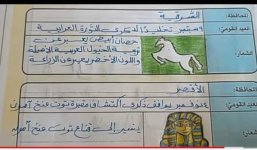 حل أسئلة الكتاب المدرسي دراسات للصف الرابع الابتدائي ترم أول 2022 مناهج مصر
