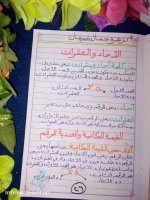تأسيس حساب للكيجي والصف الأول الابتدائي