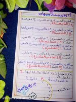 تأسيس حساب للكيجي والصف الأول الابتدائي