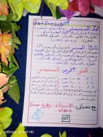 تأسيس حساب للكيجي والصف الأول الابتدائي