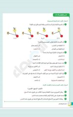 مراجعات الأضواء في اللغة العربية والرياضيات والدراسات والعلوم للصف الرابع الابتدائي مصر