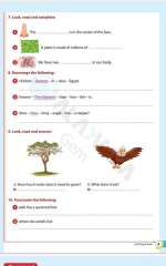 مراجعات الأضواء في اللغة الانجليزية للصف الرابع الابتدائي مناهج مصر