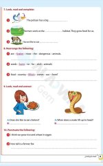 مراجعات الأضواء في اللغة الانجليزية للصف الرابع الابتدائي مناهج مصر