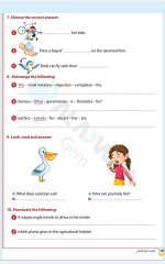 مراجعات الأضواء في اللغة الانجليزية للصف الرابع الابتدائي مناهج مصر