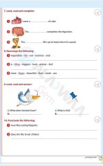 مراجعات الأضواء في اللغة الانجليزية للصف الرابع الابتدائي مناهج مصر