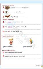 مراجعات الأضواء في اللغة الانجليزية للصف الرابع الابتدائي مناهج مصر
