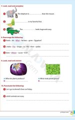مراجعات الأضواء في اللغة الانجليزية للصف الرابع الابتدائي مناهج مصر