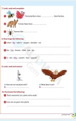 مراجعات الأضواء في اللغة الانجليزية للصف الرابع الابتدائي مناهج مصر