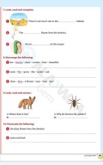مراجعات الأضواء في اللغة الانجليزية للصف الرابع الابتدائي مناهج مصر