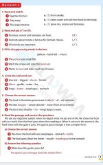 مراجعات الأضواء في اللغة الانجليزية للصف الرابع الابتدائي مناهج مصر
