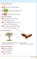 مراجعات الأضواء في اللغة الانجليزية للصف الرابع الابتدائي مناهج مصر