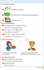مراجعات الأضواء في اللغة الانجليزية للصف الرابع الابتدائي مناهج مصر