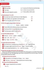 مراجعات الأضواء في اللغة الانجليزية للصف الرابع الابتدائي مناهج مصر
