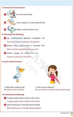 مراجعات الأضواء في اللغة الانجليزية للصف الرابع الابتدائي مناهج مصر