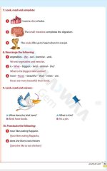 مراجعات الأضواء في اللغة الانجليزية للصف الرابع الابتدائي مناهج مصر