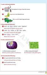 مراجعات الأضواء في اللغة الانجليزية للصف الرابع الابتدائي مناهج مصر