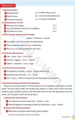 مراجعات الأضواء في اللغة الانجليزية للصف الرابع الابتدائي مناهج مصر