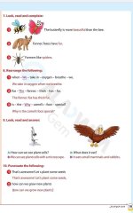 مراجعات الأضواء في اللغة الانجليزية للصف الرابع الابتدائي مناهج مصر