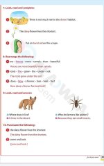 مراجعات الأضواء في اللغة الانجليزية للصف الرابع الابتدائي مناهج مصر