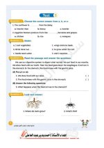 مراجعات سلاح التلميذ لكل مواد الصف الرابع الابتدائي مناهج مصر