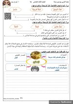 مراجعة شاملة فى اللغة العربية للصف الثالث الإبتدائى الترم الأول 2022 مناهج مصر