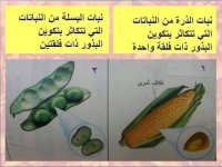 مراجعه عملي علوم للصف الاول الاعدادي الترم الأول 2022 مناهج مصر