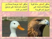 مراجعه عملي علوم للصف الاول الاعدادي الترم الأول 2022 مناهج مصر
