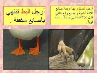مراجعه عملي علوم للصف الاول الاعدادي الترم الأول 2022 مناهج مصر