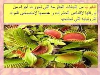 مراجعه عملي علوم للصف الاول الاعدادي الترم الأول 2022 مناهج مصر