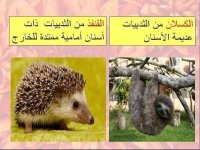 مراجعه عملي علوم للصف الاول الاعدادي الترم الأول 2022 مناهج مصر