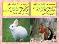 مراجعه عملي علوم للصف الاول الاعدادي الترم الأول 2022 مناهج مصر
