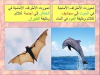 مراجعه عملي علوم للصف الاول الاعدادي الترم الأول 2022 مناهج مصر