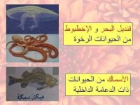 مراجعه عملي علوم للصف الاول الاعدادي الترم الأول 2022 مناهج مصر