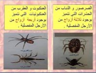 مراجعه عملي علوم للصف الاول الاعدادي الترم الأول 2022 مناهج مصر