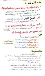 قواعد نحوية للصف السادس الإبتدائى الترم الأول 2022 مناهج مصر
