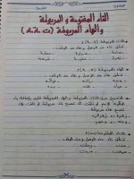أهم القواعد النحوية لتعلم الاعراب