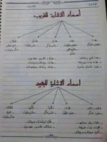 أهم القواعد النحوية لتعلم الاعراب