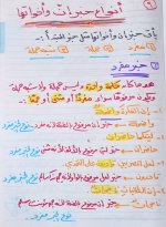 شرح بسيط إن وأخواتها للصف السادس الإبتدائى الترم الأول 2022 مناهج مصر