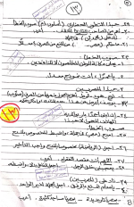 مراجعة لغة عربية للصف الثالث الإعدادي ترم أول مناهج مصر