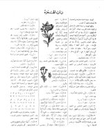 المعجم الوسيط لمجمع اللغة العربية بالقاهرة