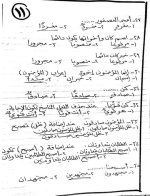 نماذج استرشادية باللغة العربية  للصف السادس الابتدائي ترم أول 2022 مناهج مصر