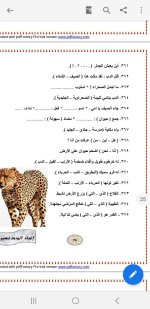 مراجعة نهائية في اللغة العربية للصف الثاني الابتدائي ترم أول 2022 مناهج مصر