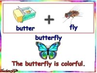 الأسماء المركبة تعلم الربط بين كلمتين و تعلم كلمة ثالثة في اللغة الانجليزية