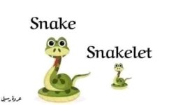 الحيوانات و أبنائها باللغة الإنجليزية