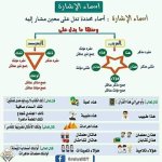 أقوى ملزمة لغة عربية بالنحو للمرحلة الإبتدائية