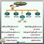 أقوى ملزمة لغة عربية بالنحو للمرحلة الإبتدائية